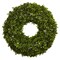 22” Boxwood Artificial Wreath UV-Resistant Plastic Greenery Front Door Decor